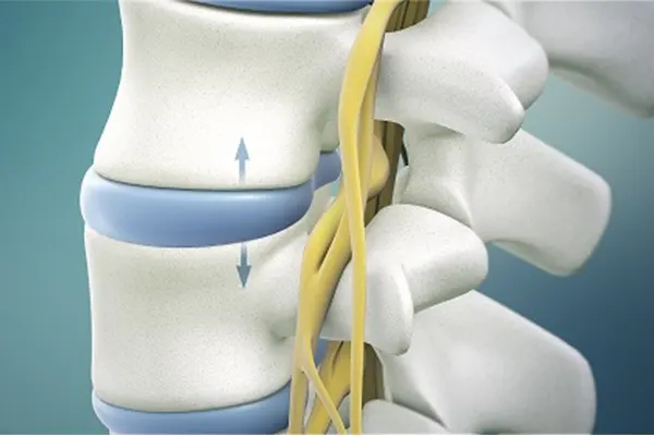ElbowSpine Specialist
